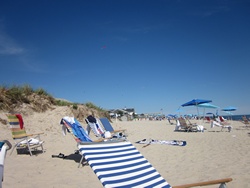 Travel Cape Cod Picture