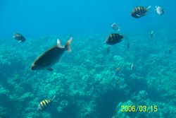Travel Caribbean Picture