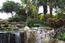 Travel Florida Picture